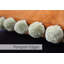 Fiesta Rectangular Scatter Cushion-36368863