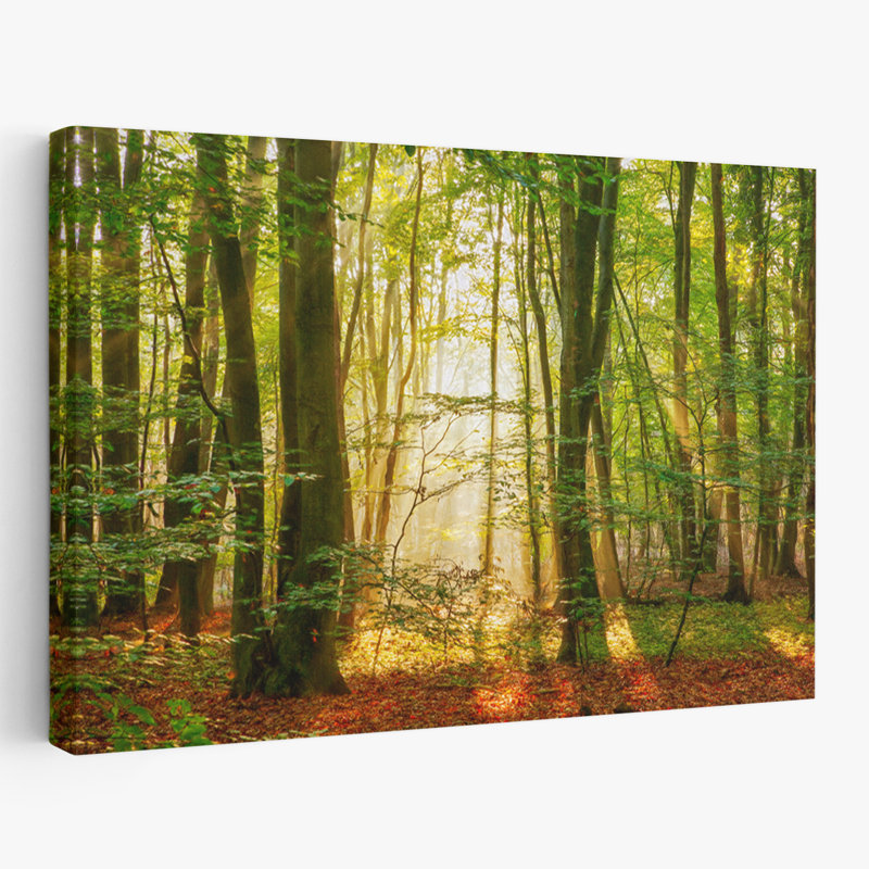 Power Beam - Paysages, photographie, arbres, art, H 16 po x l 24 po