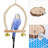 9.4'' Wood Bird Play Gym for Table Top