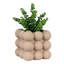 Boneita Pot Planter