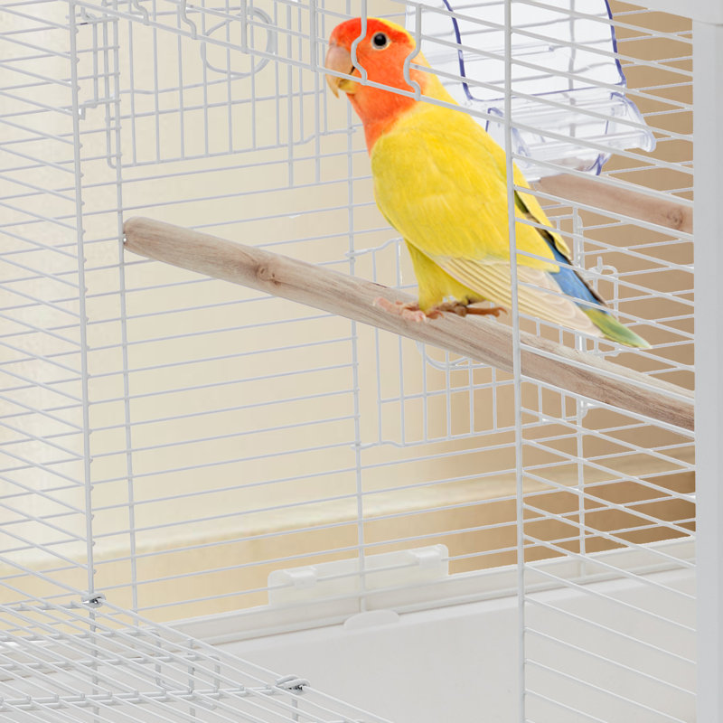 Bird Cage, White