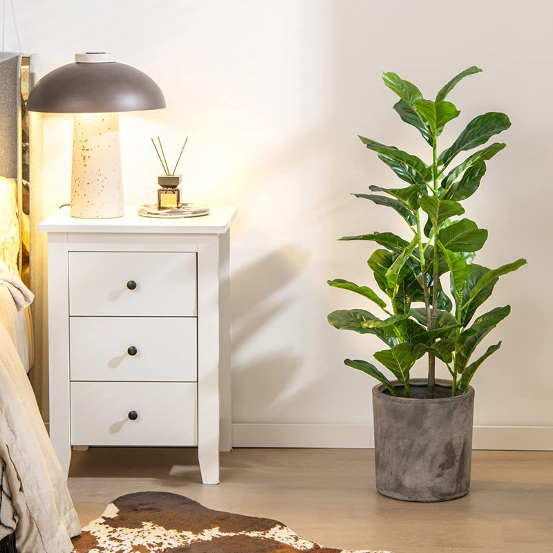 Evergreen Plant in Pot, 100cm H x 15cm W x 15cm D