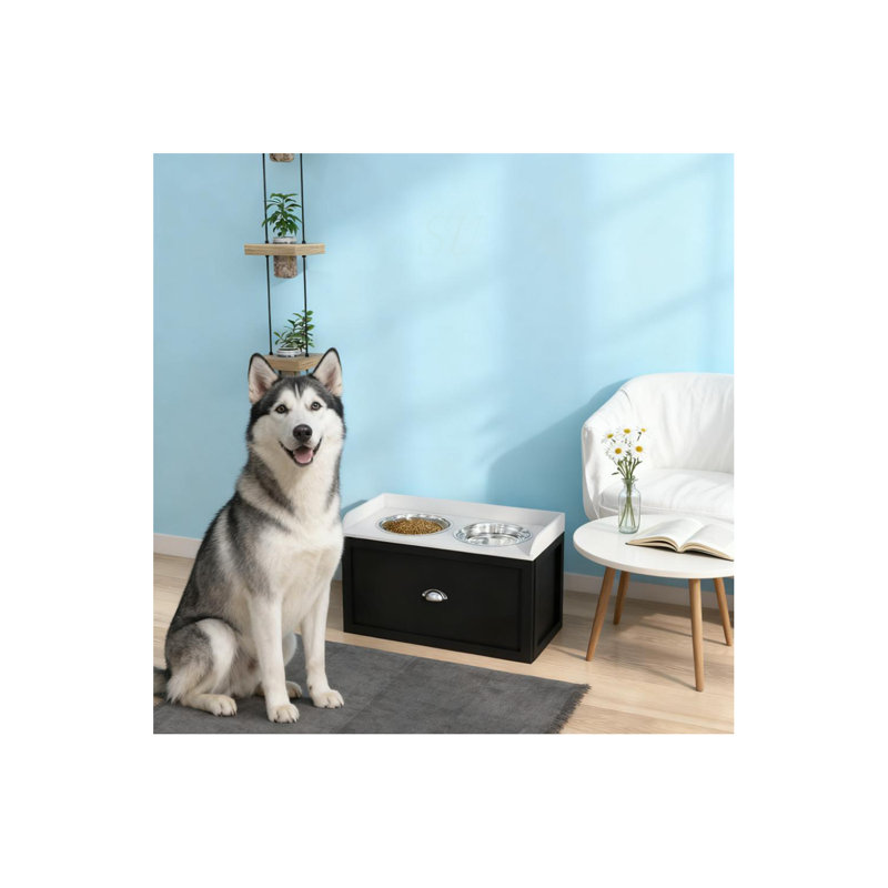Ensemble de bols pour animaux de compagnie avec rangement, station d'alimentation pour chiens de grande taille