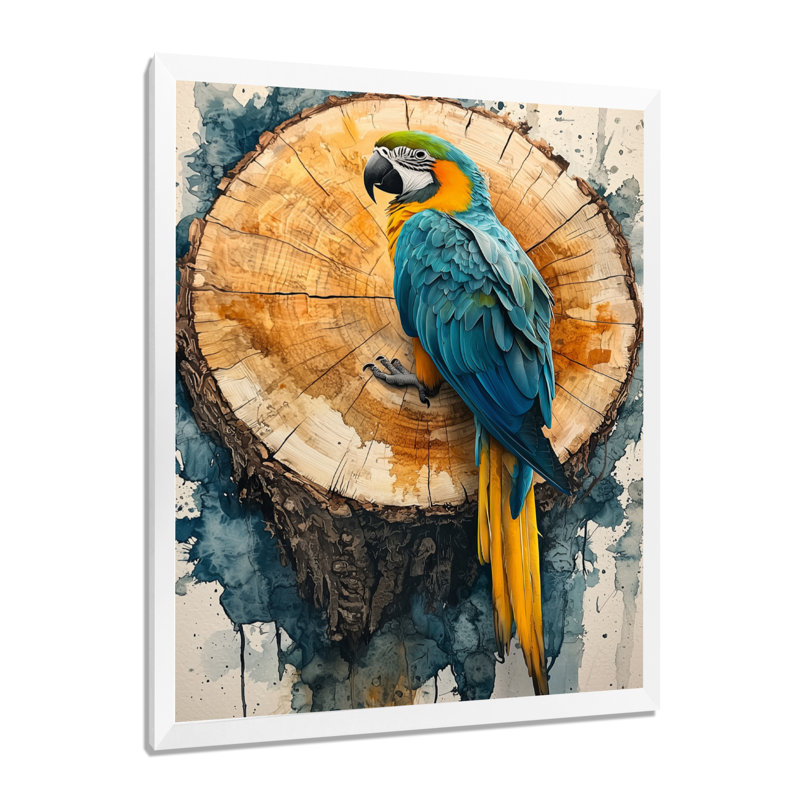 Colombe - animaux, art mural, Impression d'un seul cadre photo, H 44 po x l 34 po, Blanc