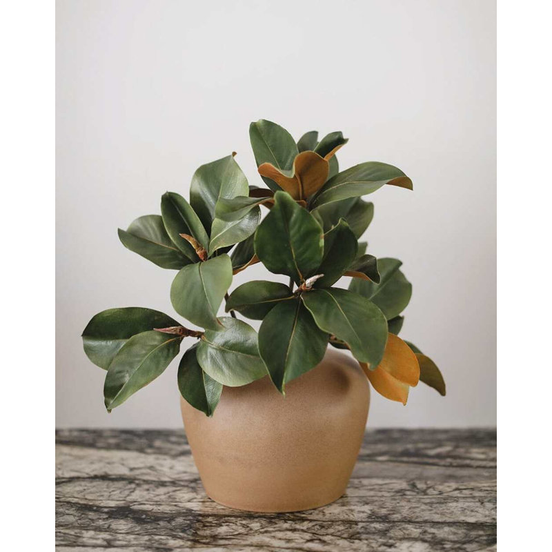 Faux Magnolia Branch