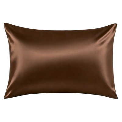 Zippered 19 Momme Natural Mulberry Silk Pillowcase, Both‑Side Real Silk Pillow Cover for Hair & Skin, Sold as 1 Piece - NTBAY
