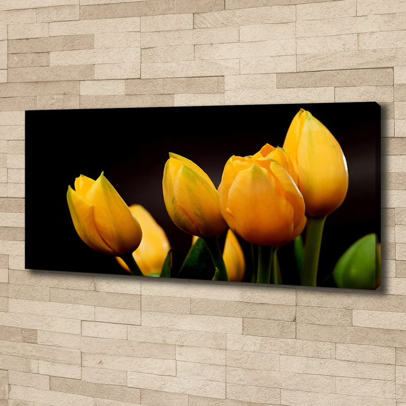 1 Piece Wall Art, 50cm H x 125cm W x 2cm D, Wrapped Canvas