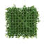 Set Of 24 Boxwood Mats-123761102