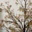 120cm Faux Tree in Freestanding