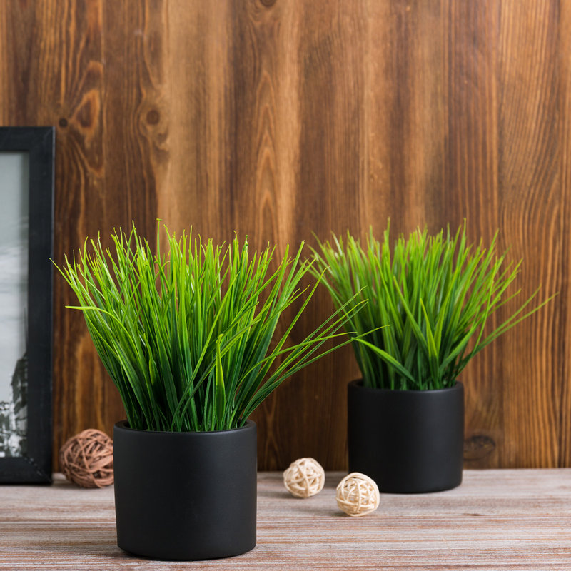 7.87'' Faux Grass in Black Cylindrical Cement Pots, Set of 2