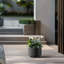 Grand pot / pot rond en béton avec trous de drainage-621437562-621437564