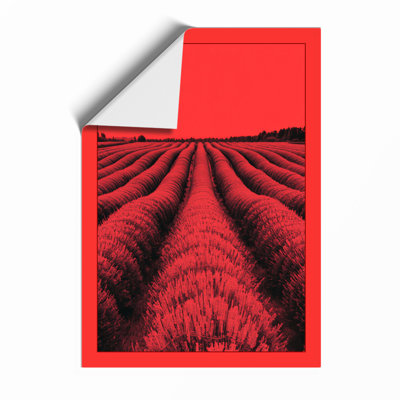 Red Tulips At Dusk Modern - Print