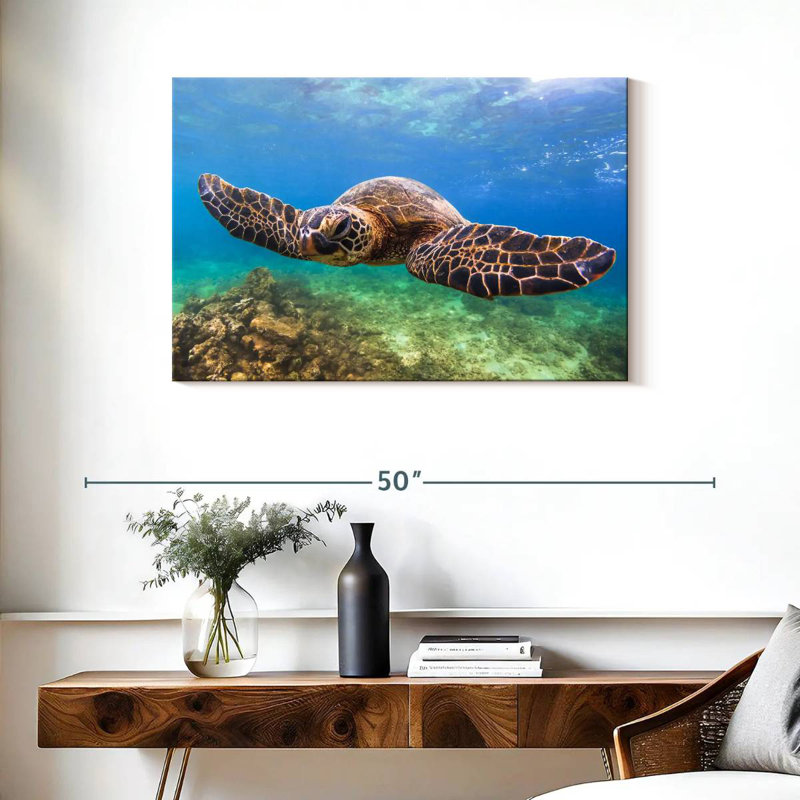 Crowle Flapping Turtle, 24" H x 36" W