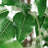 75'' Faux Ficus Tree in Pot