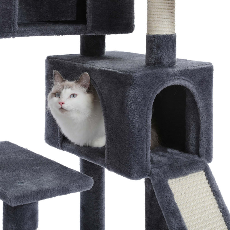 Grand arbre à chat, gris