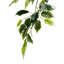 Ficus artificiel 72 po en pot