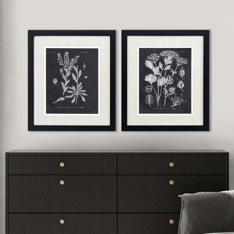 Mono Botanicals II S/2 Print by Libby Langdon Paragon