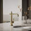 Artifacts® Bar Faucet-93465838
