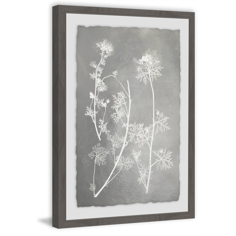 « herbarium study v », reproduction d’impression encadrée, H 30 po x l 20 po x P 1,5 po
