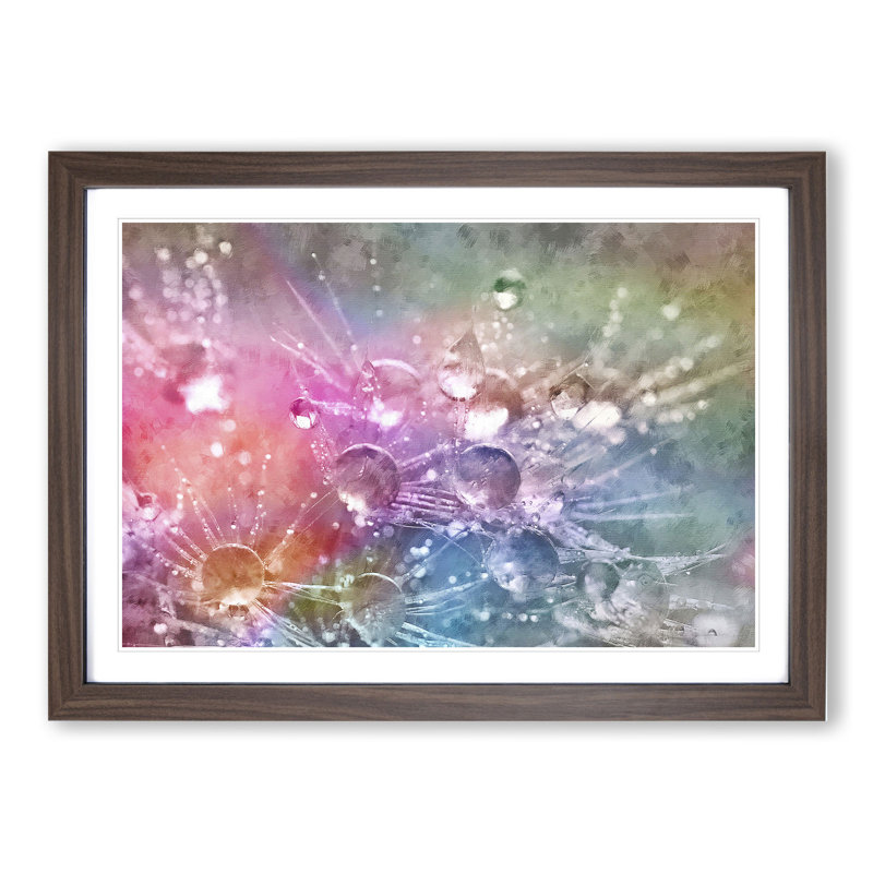 Dandelion Seeds Vol.7 - Picture Frame Graphic Art, 36cm H x 48cm W x 2cm D, Walnut Framed