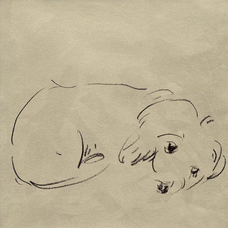A Good Boy II by Melissa Wang - Wrapped Canvas Print, 122 cm H x 122 cm W