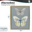 Cadre flottant Papillon, étude par Carol Robinson-1030999593-1030999591