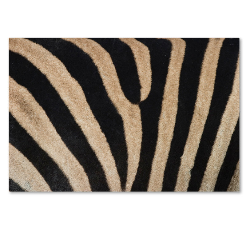 Art mural sur toile tendue - Bibliothèque murale «Zebra Skin» par Robert Harding pour décoration de salon, de chambre à coucher ou de bureau