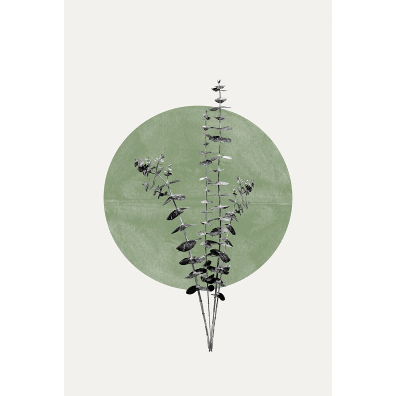 Wrapped Canvas Print, 50.8 cm H x 76.2 cm W
