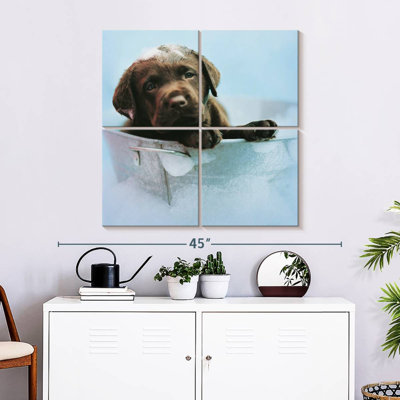 Brampt Beau The Dog