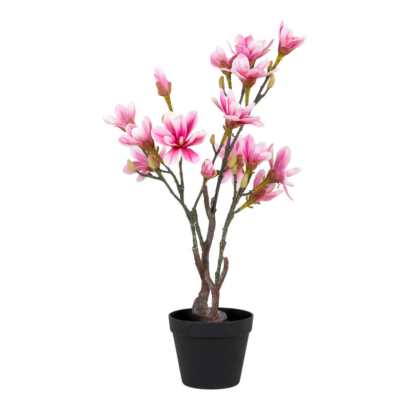 75cm Faux Magnolia Tree
