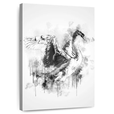 Brampt Swan Black And White