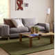 Crowe Hand Loomed Wool Sage Performance Area Rug