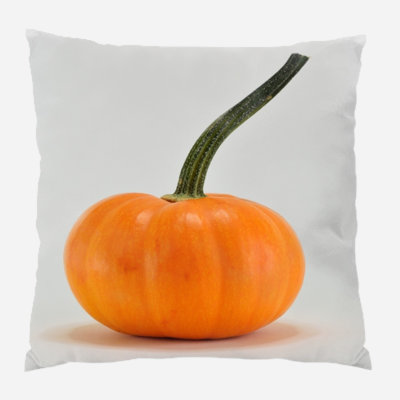  Pumpkin Outdoor Square Pillow Cover & Insert