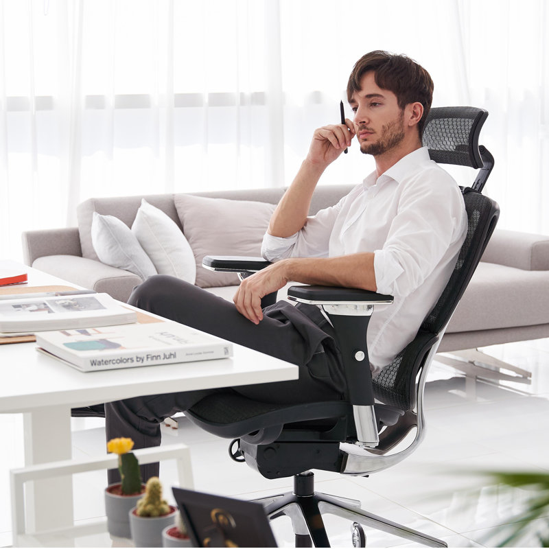 Chaise de bureau ergonomique à dossier lombaire en alliage d'aluminium Nouhaus, Noir