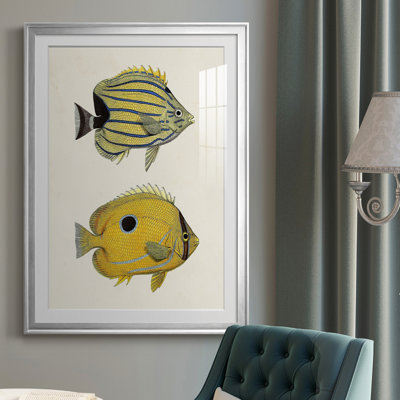 " Yellow & Grey Fish III "