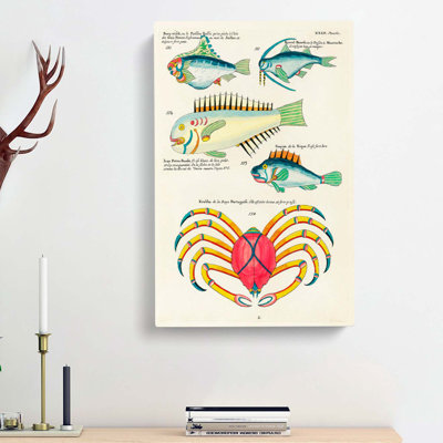 East Indies Fish & Crab Illustrations XXIII by Charles DOrbigny - Wrapped Canvas