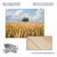 Christian Lindsten-1181111326