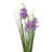Botanical Solar Stake -Set/3