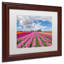 "tulip field" par pierre leclerc,, reproduction de photo encadrée-13605662-19448279
