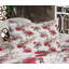Ensemble de draps et taies décoratives Ambesonne English Garden, champagne multicolore-106797091