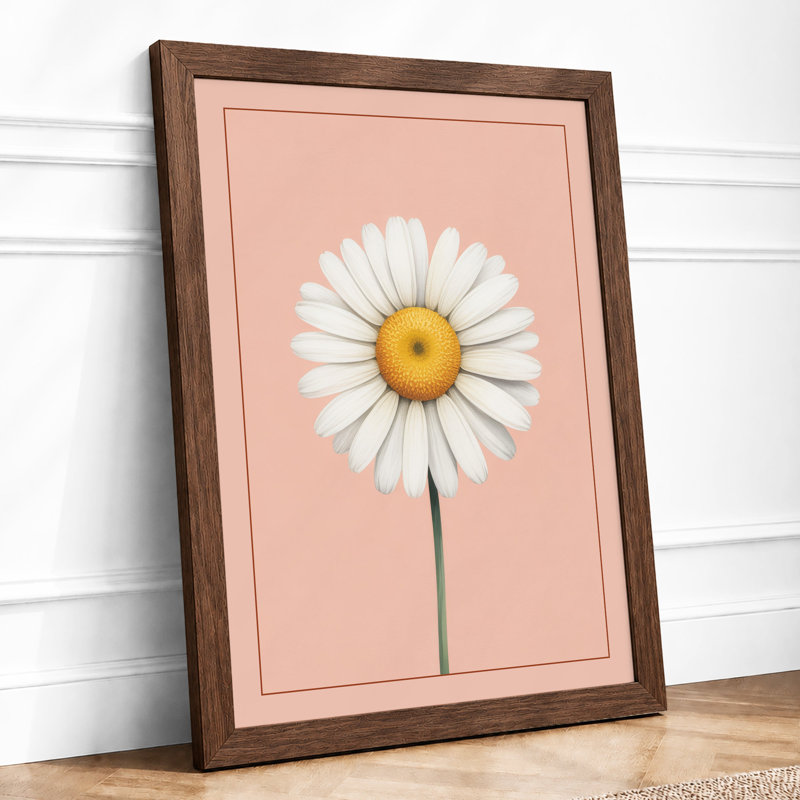 Daisy Study Botanical Framed Art Print, A4 - 29.7 x 21.0 cm, Walnut