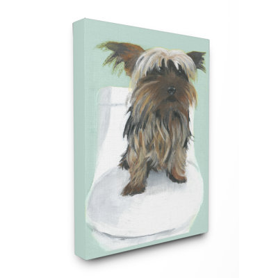 «yorkie