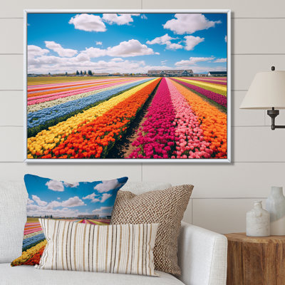 Champ de tulipes colorées II - art mural tulipe