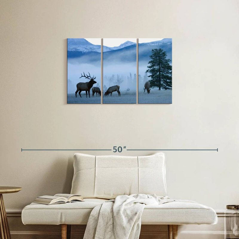 Élans brumeux du matin Brampt, H 20 po x l 33 po