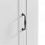 Grande armoire de rangement moderne - compartiment inclinable, tablettes réglables, capacité de 80 lb, charnières à fermeture en douceur, poignées en alliage d'aluminium