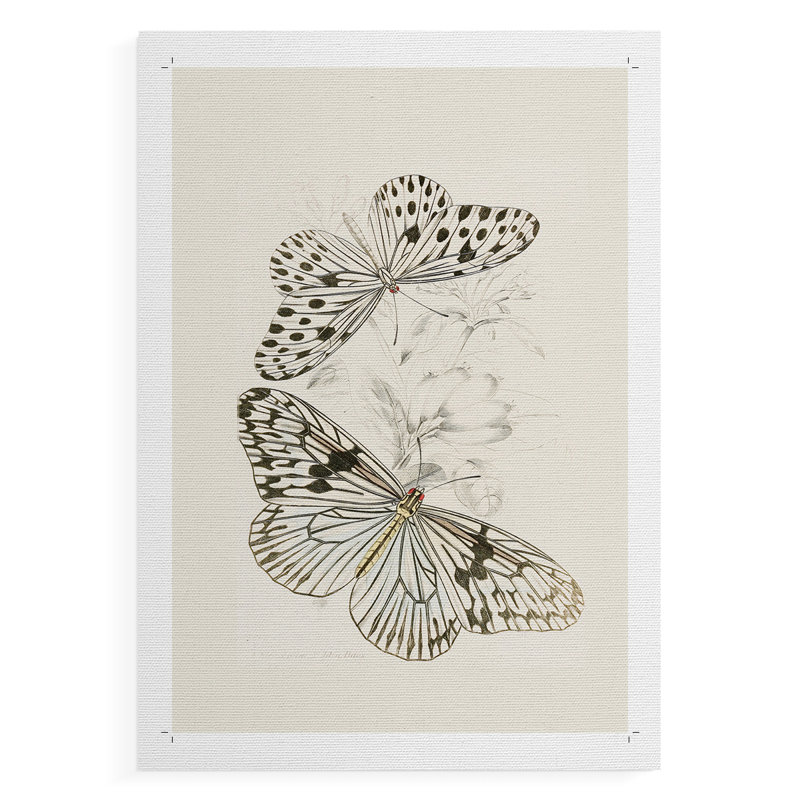 Imprimé animalier rétro XLIX - reproduction de toile seulement - non encadrée, H 36 po x l 24 po