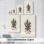 Toile tendue Evergreen of Pearled Gallery-1167721930