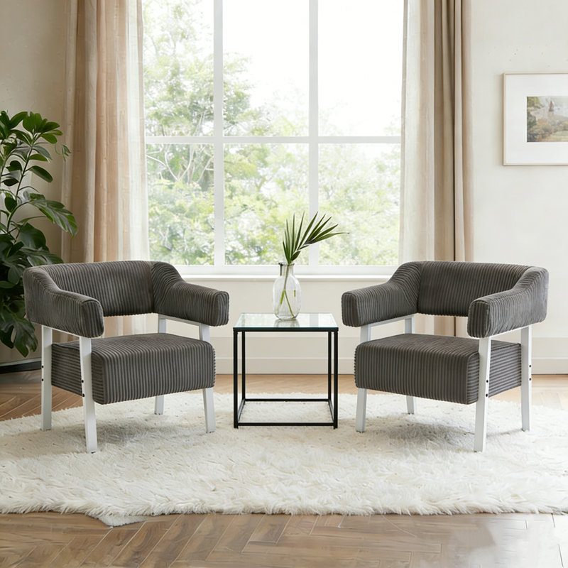 Modern Metal Frame Accent Chair Armchair For Living Room,Bedroom(Set of 2), Gray, White