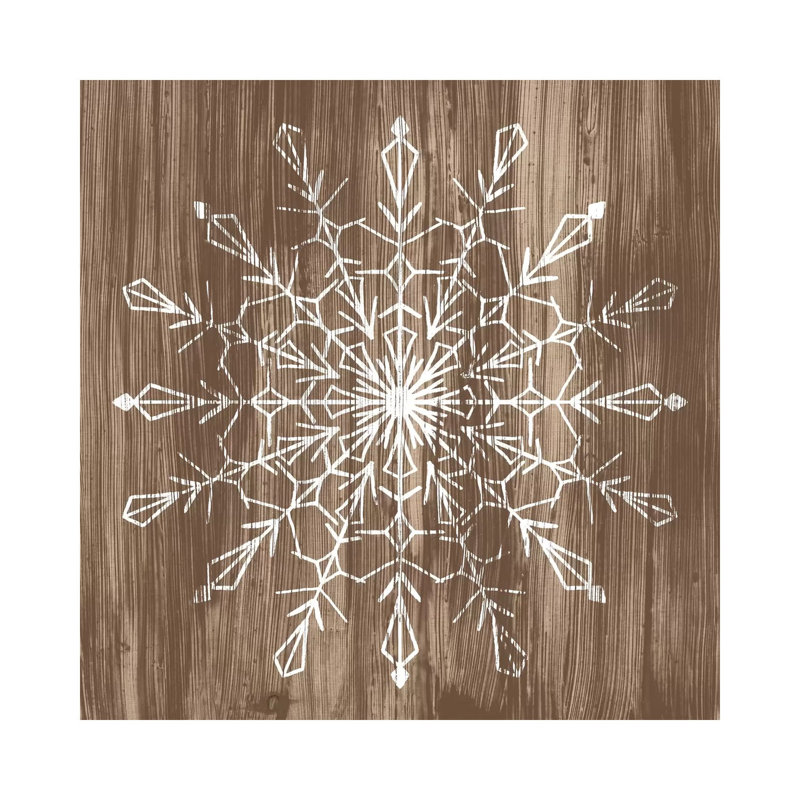 Barnwood Wonderland VI by June Erica Vess - Wrapped Canvas Print, 66.04 cm H x 66.04 cm W x 1.91 cm D
