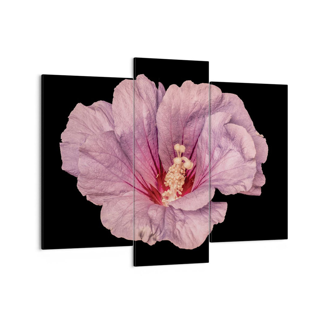 3-tlg. Leinwandbilder-Set Hibiscus Flower Pink